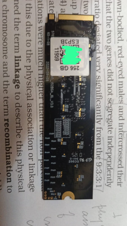EVM 250GB Gen 3 NVMe (2280) Internal SSD NVMe M.2 Used SSD